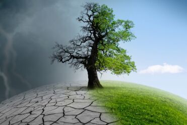 3 solutions de plateforme facturation électronique